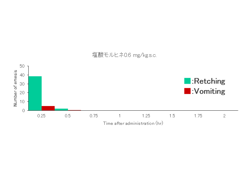 <h4>塩酸モルヒネ投与による嘔吐反応</h4>
塩酸モルヒネ投与時の嘔吐は反応性が非常に早くすぐに消失します。休薬期間を置く事で繰り返し評価を行うことができますので抗嘔吐薬のスクリーニング評価に用いられるケースも多いです。