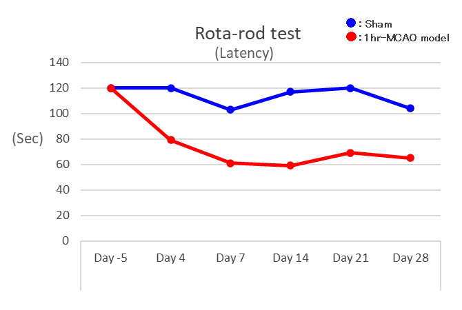 <h4>運動機能の評価</h4>
一定速度で回転する回転棒上に動物を乗せて、落下までの時間を評価します。病態動物は運動機能が低下するため、落下するまでの時間が早くなります。